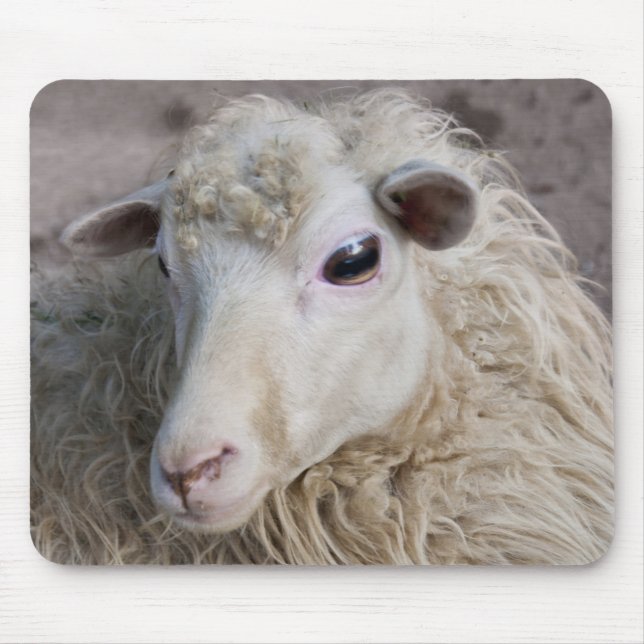 Mousepad de Ovelha (Frente)