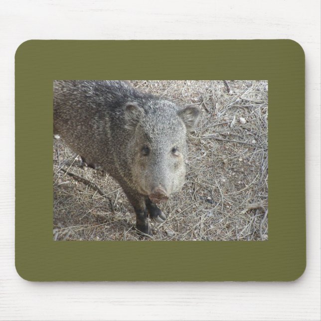 Mousepad de P1010073 Javelina (Frente)