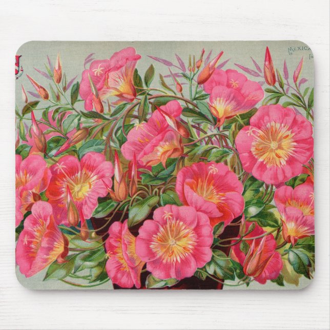 Mousepad de Pacotes de Sementes Primrose (Frente)