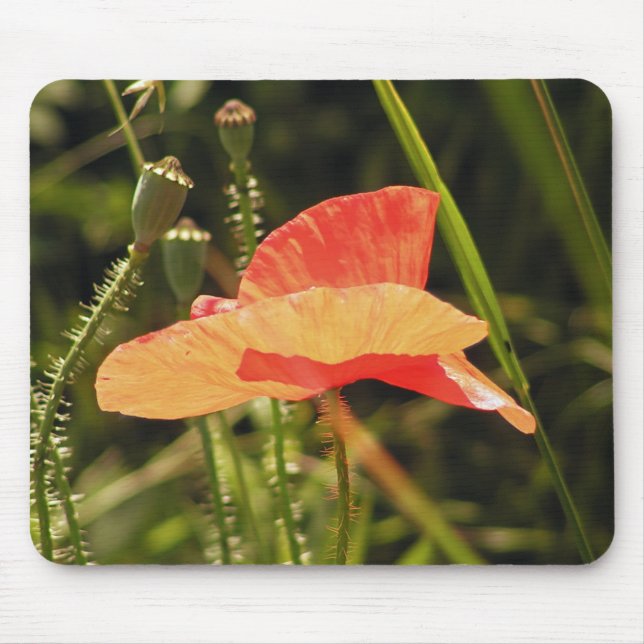 Mousepad de Papoula (Frente)