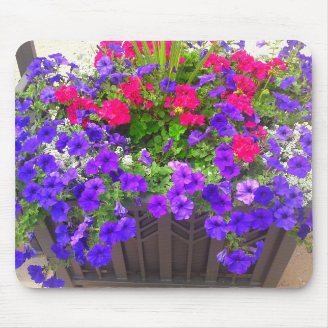 Mousepad de Patch do Flor Petunia (Frente)