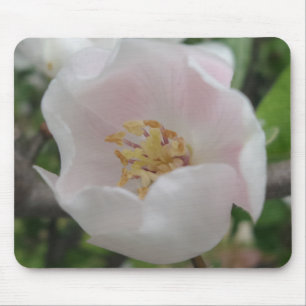Mousepad de Pureza