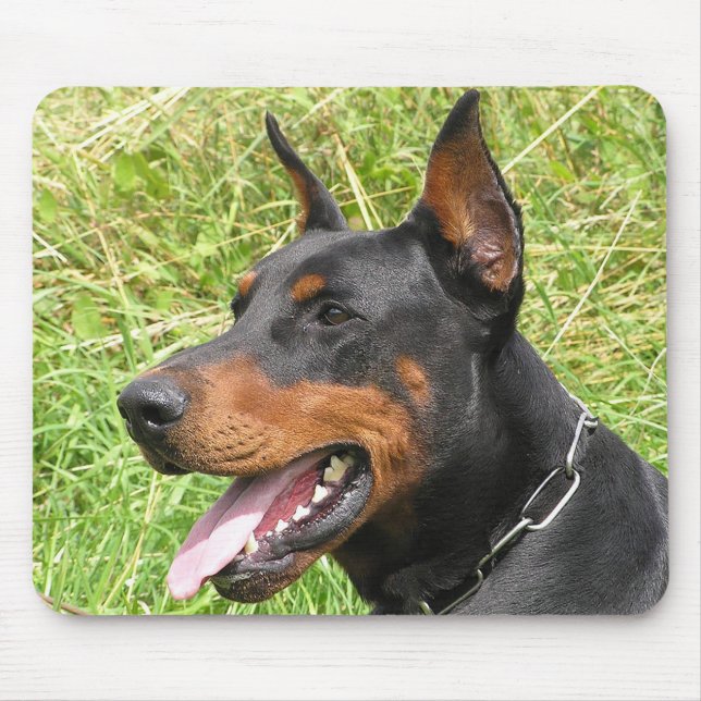 Mousepad de Quadro Negro com Cachorrinho Doberman  (Frente)