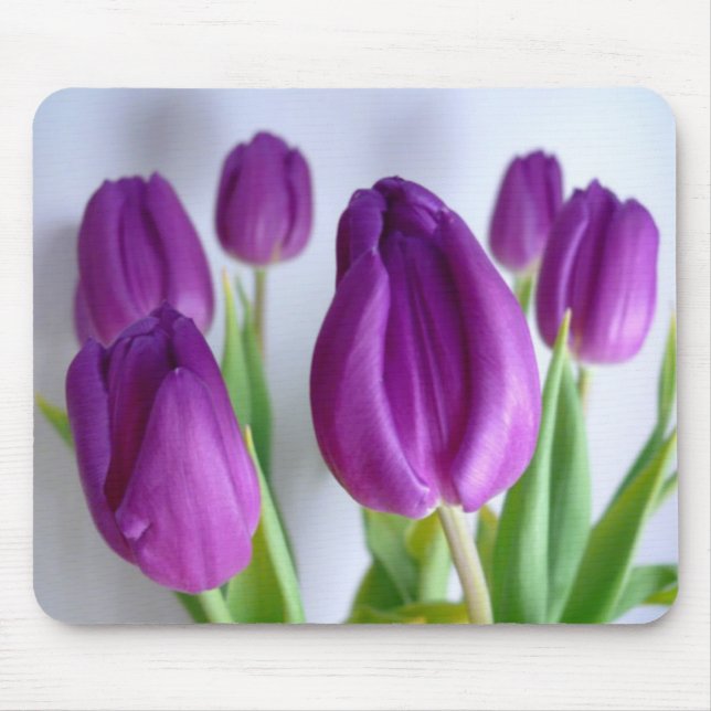 Mousepad de Reunião Real (Frente)
