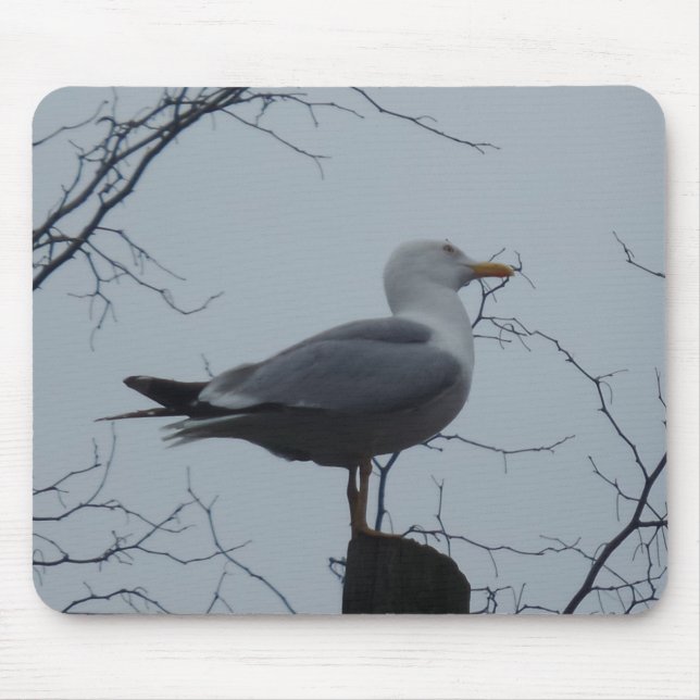 Mousepad de Seagull (Frente)