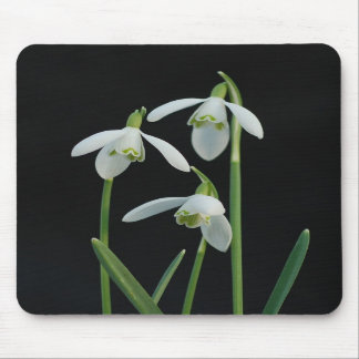 Mousepad de Snowdrops
