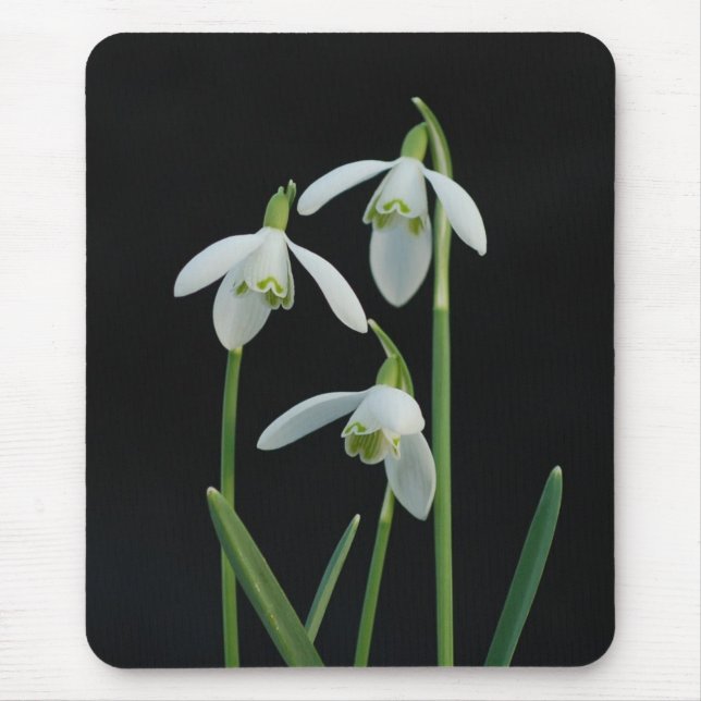 Mousepad de Snowdrops (Frente)
