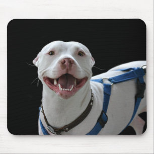 Mousepad de sorriso do pitbull