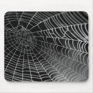 Mousepad de Spiderweb