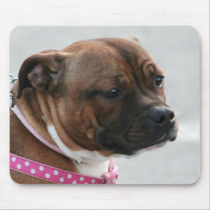 Mousepad de Staffordshire bull terrier