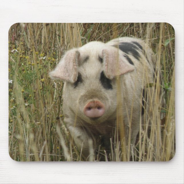 Mousepad De Suíno Cortês (Frente)