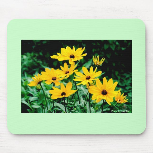 Mousepad de Susans de Olhos Negros (Frente)
