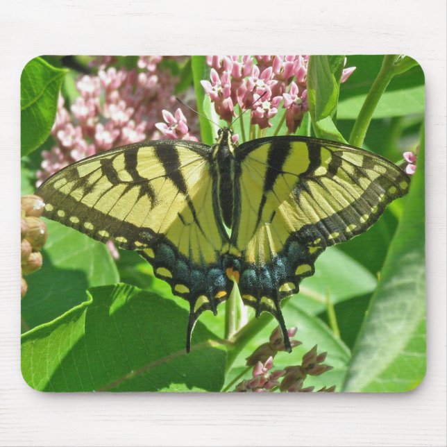 Mousepad de Swallowtail de Tigre Feminino (Frente)