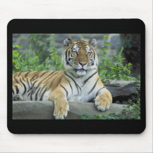 Mousepad de tigre siberiano