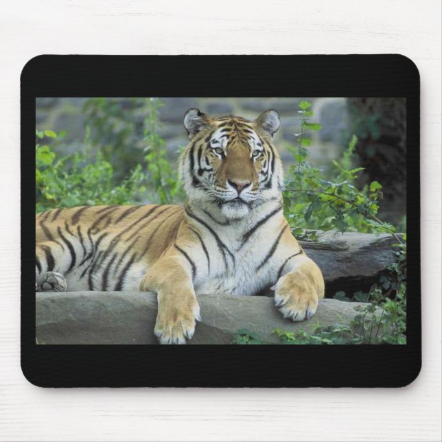 Mousepad de tigre siberiano (Frente)