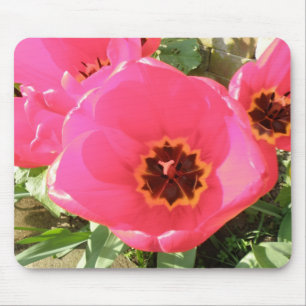 Mousepad de Tulipas Rosa
