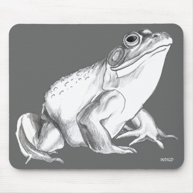 Mousepad Decor de Ofertas de Arte por Sapo de Bocal (Frente)