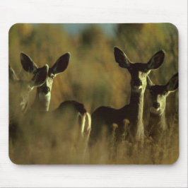 Mousepad Deer