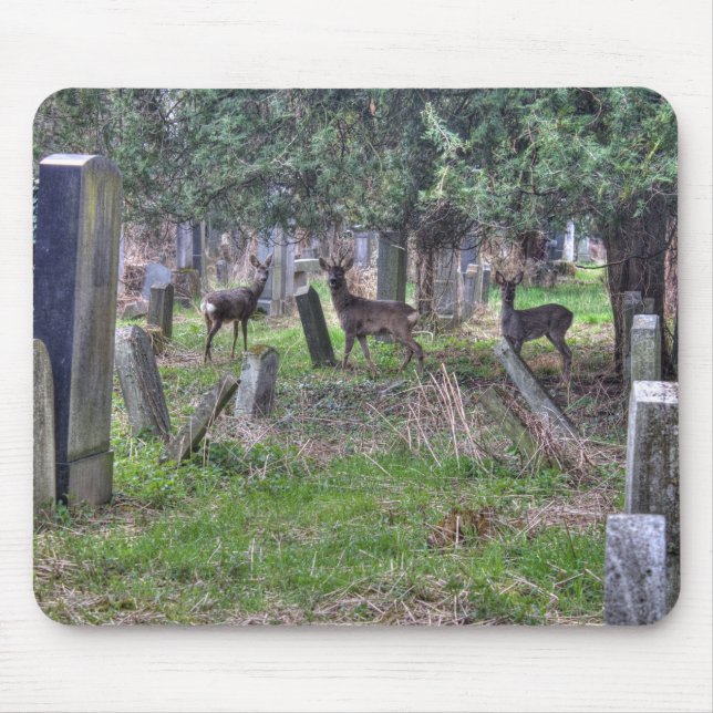 Mousepad Deer At Zentralfriedhof (Frente)