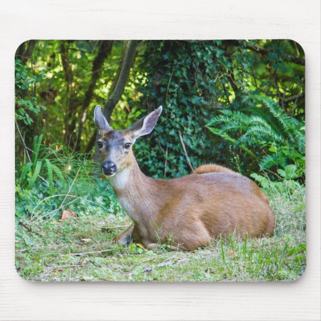 Mousepad Deer Deer Modern Resting (Frente)