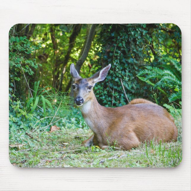 Mousepad Deer Deer Modern Resting (Frente)
