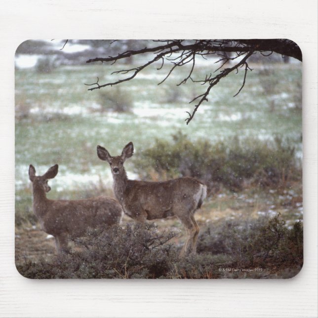 Mousepad Deer em execução (Frente)