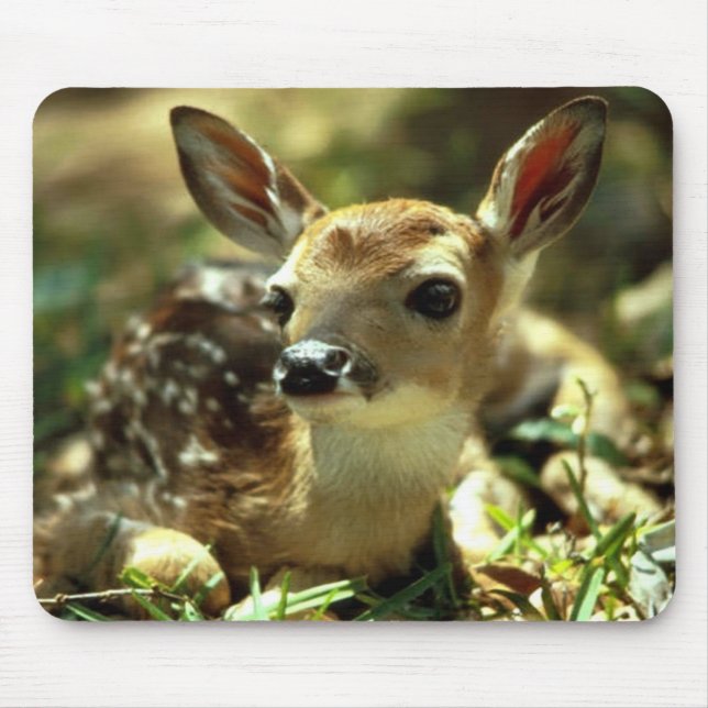 Mousepad Deer Fawn (Frente)