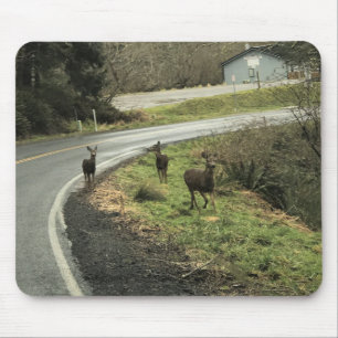 Mousepad Deer on Road, Cape Desapontamento, WA