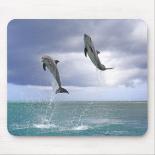 Mousepad Delfin,Delphin,Grosser Tuemler,Tursiops 2