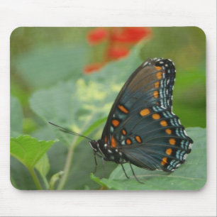 Mousepad Delicar borboleta