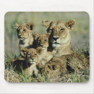 Mousepad Delta de Okavango, Botswana