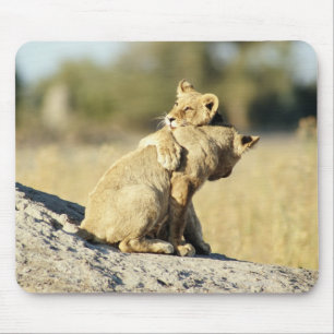 Mousepad Delta de Okavango, Botswana 2