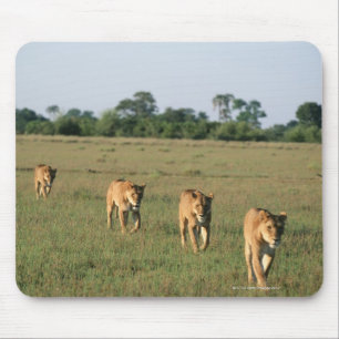 Mousepad Delta de Okavango, Botswana 4