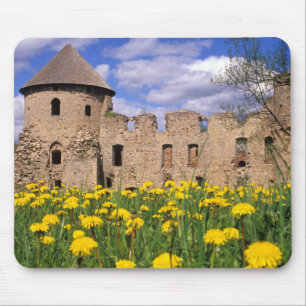Mousepad Dent-de-leão cerca o Castelo Cesis no centro