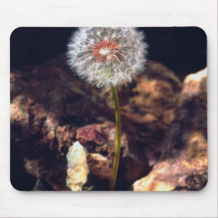 Mousepad Dente-de-leão