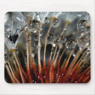 Mousepad Dente-de-leão e gotas de água, CA