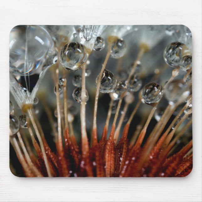 Mousepad Dente-de-leão e gotas de água, CA (Frente)