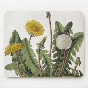 Mousepad Dente-de-leão (gravura da cor)