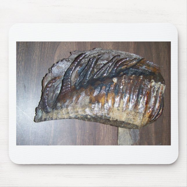 Mousepad dente gigantesco impressionante (Frente)