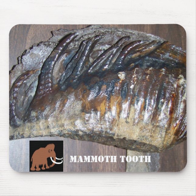 Mousepad dente impressionante, MAMMOTH (2), DENTE (Frente)