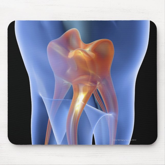 Mousepad Dente, seção transversal transparente de um molar (Frente)