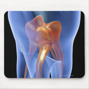 Mousepad Dente, secção transversal transparente de um mol