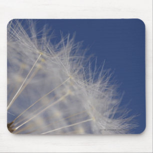 Mousepad Dentes-de-leão