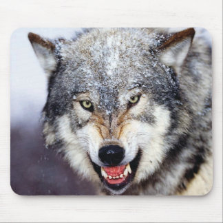 Mousepad Dentes do lobo cinzento
