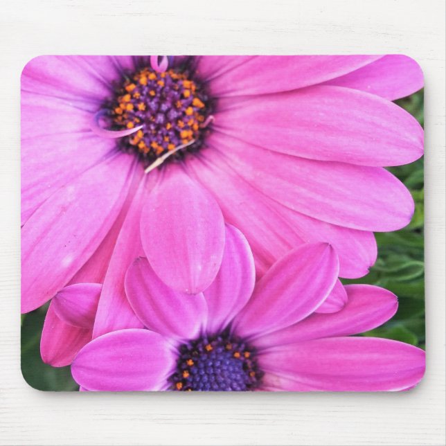 Mousepad Dentro da Púrpura Rosa Gerbera Daisy Flower Nature (Frente)