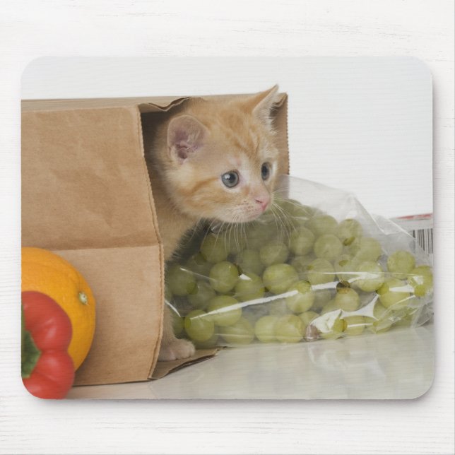 Mousepad Dentro de Kitten bolsa de compra (Frente)