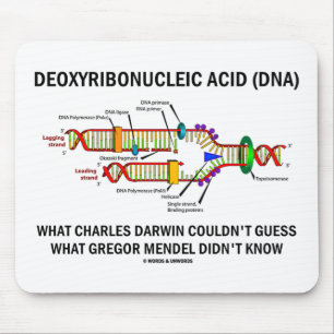 Mousepad Deoxyribonucelic (ADN) Mendel ácido Darwin