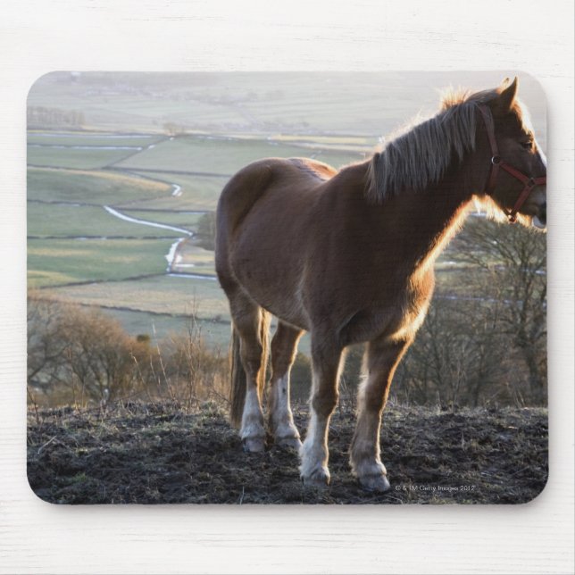 Mousepad Derbyshire, Inglaterra (Frente)