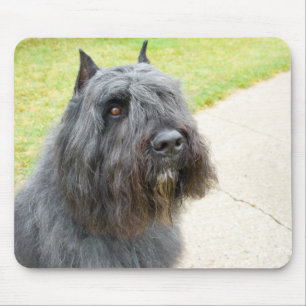 Mousepad DES Flandres de Bouvier