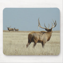 Mousepad Desafiador dos alces de E20 Bull